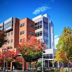 Clark County Auto Licensing Office - Clark County Public Service Center
