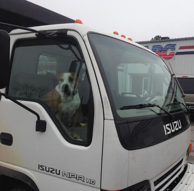 Slide of Expert Renovation Services