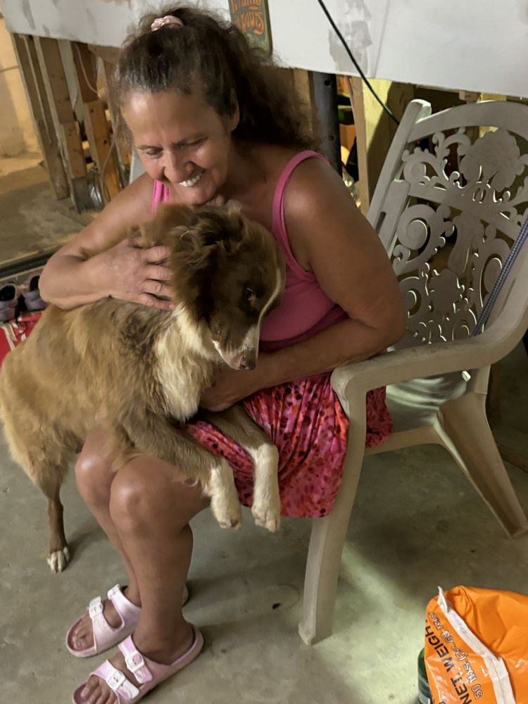 Slide of B & B construction