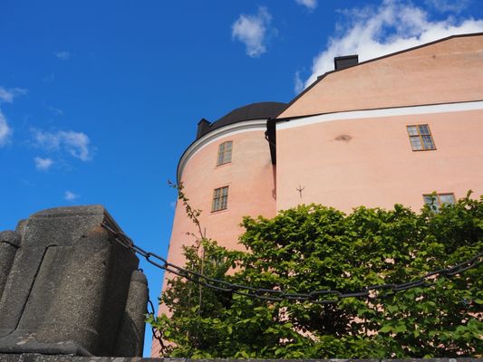 Uppsala Castle by null