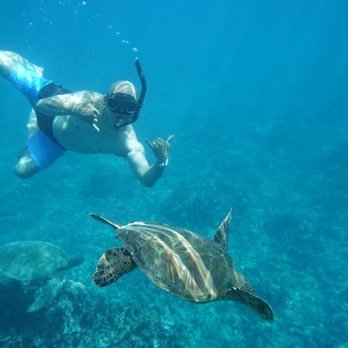 Indigo Ocean Hawaii - Boat Tours Near Me - Honolulu, Hawaii Indigo Ocean Hawaii - Boat Tours Near Me - Honolulu, Hawaii