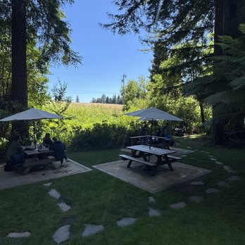 Beauregard Vineyards - Lovely grounds... - Wineries Near Me - Bonny Doon, California
