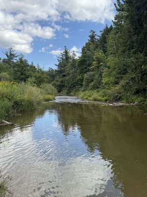 Boyd Conservation Park by null