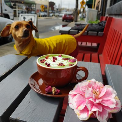 Common Grounds Coffeehouse by null