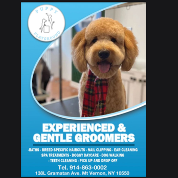 Puppy Playground - Pet Groomers Near Me - Mount Vernon, New York
