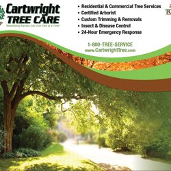 Cartwright Tree Care - Here are a few services we provide.
