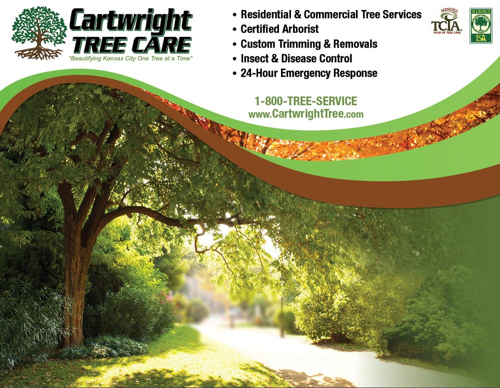Cartwright Tree Care - tree service in Grandview, MO