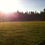 Photo of Anderson Island Off Leash Dog Park