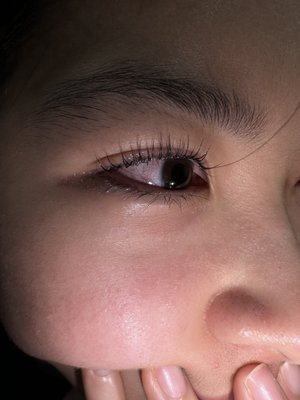 Q-Lash Eyelash Extensions&Brows by null