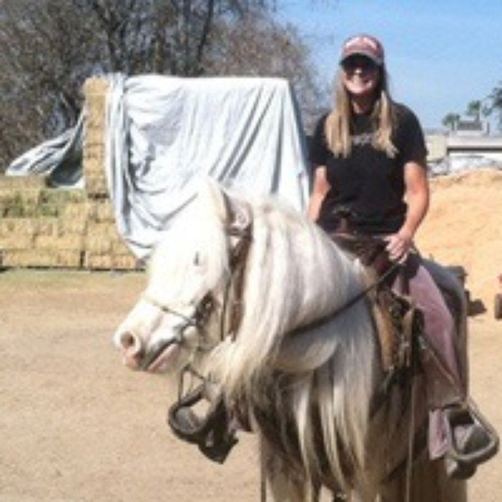 LexLin Ranch - Horseback Riding Near Me - Rockwood, Tennessee LexLin Ranch - Horseback Riding Near Me - Rockwood, Tennessee