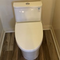 Dual Flush one piece Dual Flush one piece