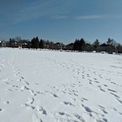 Valley View Park - The softball diamond in winter