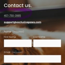 City View Goldens - fake site to make this yelp look legit after changing their business name on yelp. Same FL number and prior business name Exclusive Paws LLC