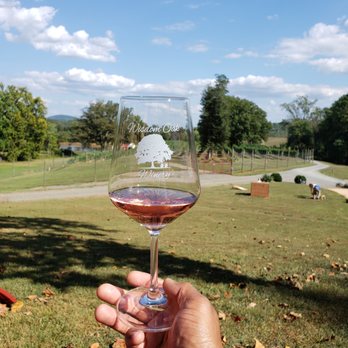 Wisdom Oak Winery - a hand holding a glass of wine - Wineries Near Me - North Garden, Virginia Wisdom Oak Winery - a hand holding a glass of wine - Wineries Near Me - North Garden, Virginia