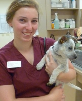 ALPINE ANIMAL CLINIC - Updated December 2024 - 73 Photos & 32 Reviews