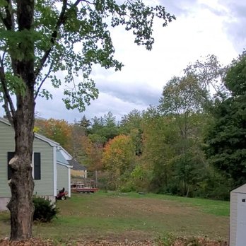 Bolduc Tree Service - Trimmed maple #2 and dead maple - after - Tree Services Near Me - Fremont, New Hampshire