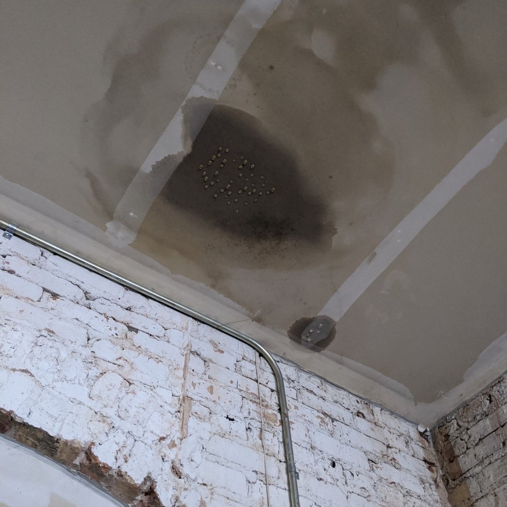 Cottage Hill Property Management - Look close you can see the water now coming through the drywall - Property Management Near Me - Elmhurst, Illinois