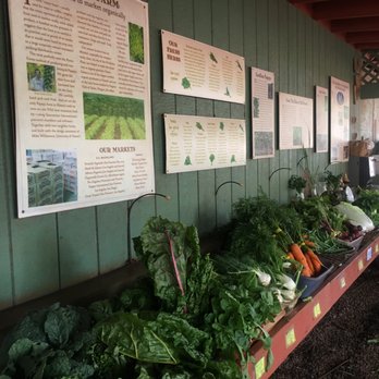 Kumu Farms - Farmers Market Near Me - Kaunakakai, Hawaii
