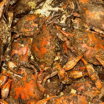 Bams Crab Place - Female Maryland blue crabs, cooked, steamed, and ready to eat - Seafood Near Me - Middletown, Pennsylvania Bams Crab Place - Female Maryland blue crabs, cooked, steamed, and ready to eat - Seafood Near Me - Middletown, Pennsylvania