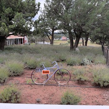 Pine Creek Canyon Lavender Farm - outside - Farms Near Me - Pine, Arizona
