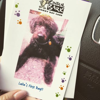 Central Bark - Philadelphia - Pet Groomers Near Me - Philadelphia, Pennsylvania Central Bark - Philadelphia - Pet Groomers Near Me - Philadelphia, Pennsylvania