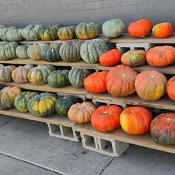 Whole Foods Market