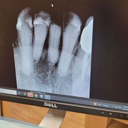 UNM Dental Services