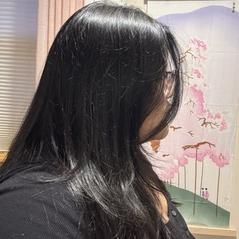Salon Yangmi - Hair Salons Near Me - Niles, Illinois