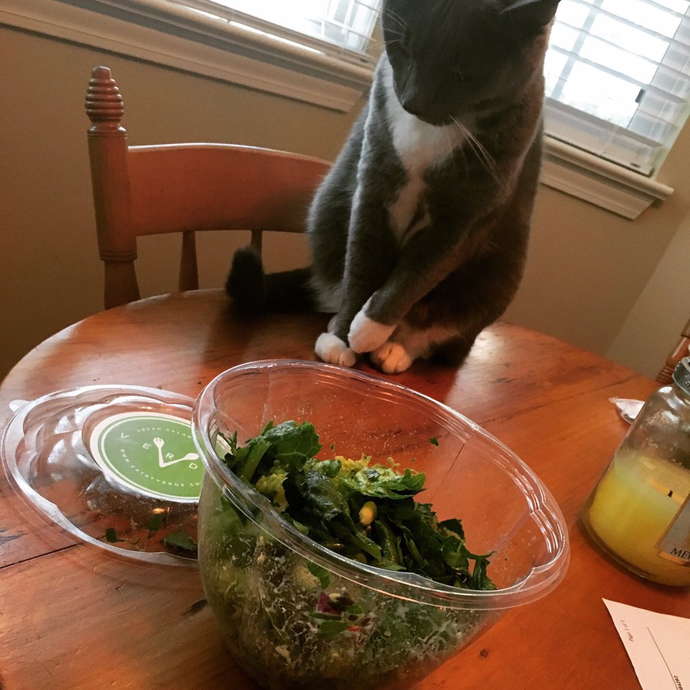 Verde - Goliath wants some @eatatverde - Salad Near Me - Mount Pleasant, South Carolina Verde - Goliath wants some @eatatverde - Salad Near Me - Mount Pleasant, South Carolina