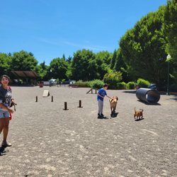 Hondo Dog Park