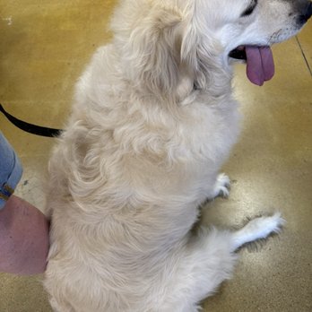 PetSmart - Pet Training Near Me - Burbank, Illinois