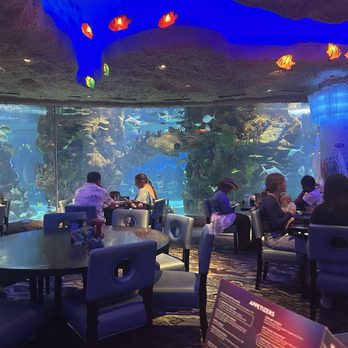 Aquarium Restaurant - Seafood Near Me - Nashville, Tennessee Aquarium Restaurant - Seafood Near Me - Nashville, Tennessee