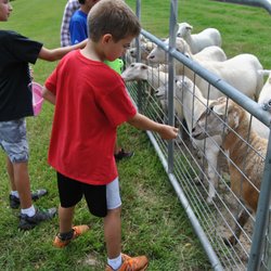 Gan Eden Farms - Feed the animals