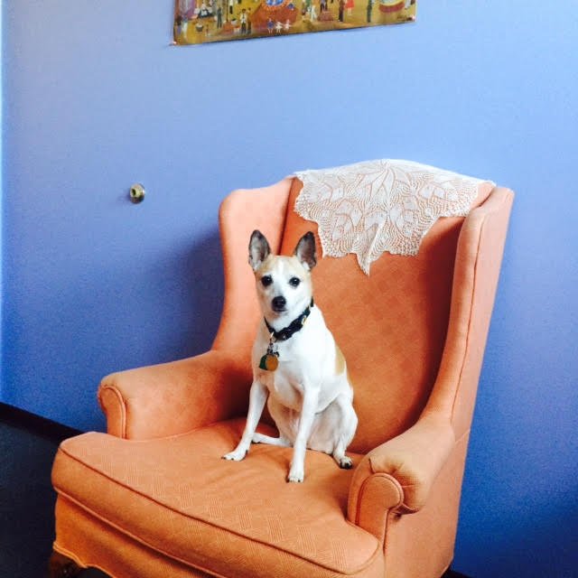 EAST AURORA COUNSELING Updated August 2024 143 S Lincoln Ave