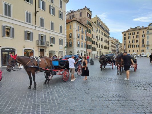 Spanish Steps by null