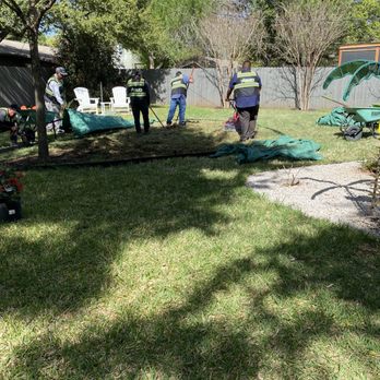 Adam's Lawn Service Austin - a group of people working in the yard - Tree Services Near Me - Austin, Texas