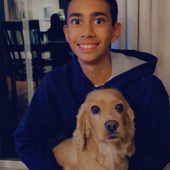 Animal Eye Care - Post surgery! My Frankie has the most beautiful bright eyes :) - Veterinarians Near Me - Pleasanton, California