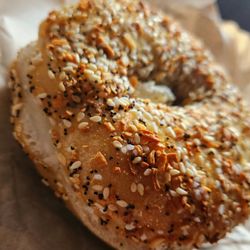 Meshuggah Bagels - Everything bagel