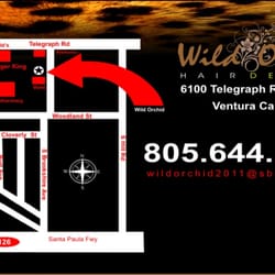 Wild Orchid Hair Design