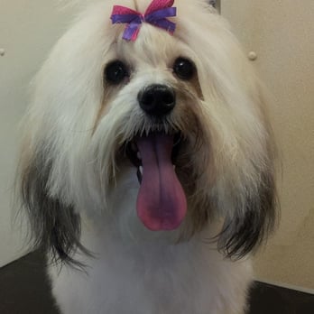 Fetching Ridge Pet Hotel & Spa - Pet Boarding Near Me - Boone, North Carolina Fetching Ridge Pet Hotel & Spa - Pet Boarding Near Me - Boone, North Carolina