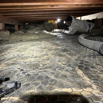 A1 Rodent Proofing and Pest Control - Pest Control Near Me - Pleasanton, California A1 Rodent Proofing and Pest Control - Pest Control Near Me - Pleasanton, California