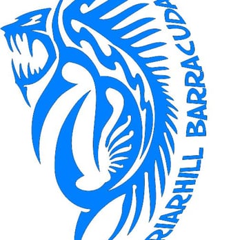 Briarhill Swim Team - Swimming Pools Near Me - Dublin, California Briarhill Swim Team - Swimming Pools Near Me - Dublin, California
