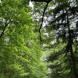 Buhl Farm Park