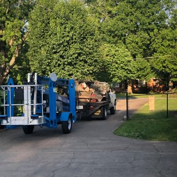 Langford Tree Care - Tree Services Near Me - Hendersonville, Tennessee Langford Tree Care - Tree Services Near Me - Hendersonville, Tennessee