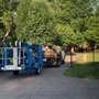 Photo of Langford Tree Care