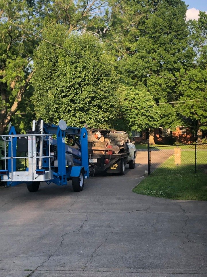 Langford Tree Care - tree service in Hendersonville, TN