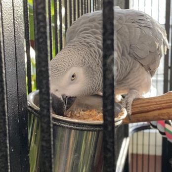 Jordan's Jungle - Cute resident - Nurseries & Gardening Near Me - Pawtucket, Rhode Island