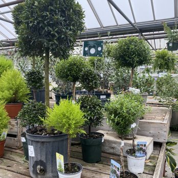 AJ Rahn Greenhouses - Nurseries & Gardening Near Me - Cincinnati, Ohio AJ Rahn Greenhouses - Nurseries & Gardening Near Me - Cincinnati, Ohio