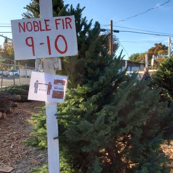 Davis Scouts Bsa Christmas Tree Lot - Christmas Trees Near Me - Davis, California