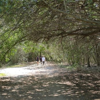 El Dorado Nature Center - Parks Near Me - Long Beach, California El Dorado Nature Center - Parks Near Me - Long Beach, California